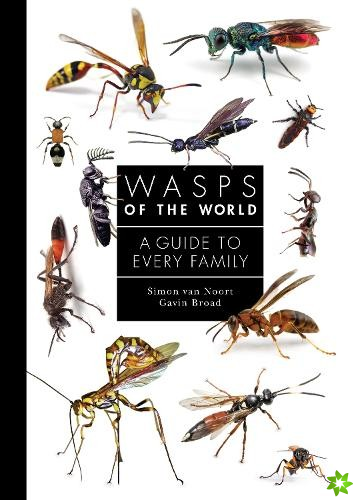 Wasps of the World