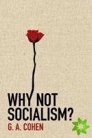 Why Not Socialism?