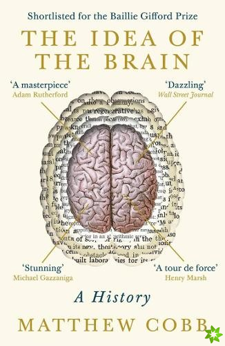 Idea of the Brain