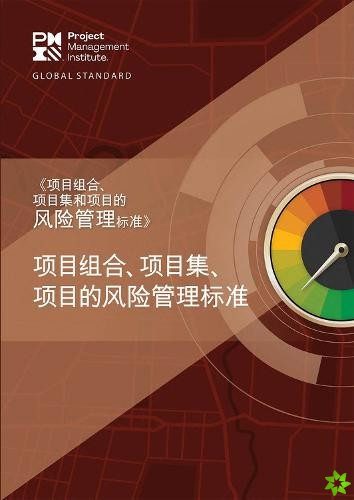 Standard for Risk Management in Portfolios, Programs, and Projects (Simplified Chinese Edition)