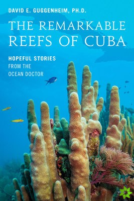 Remarkable Reefs Of Cuba