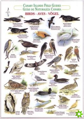 Birds (Waterproof Field Guide)