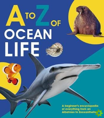 to Z of Ocean Life