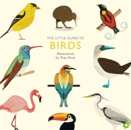 Little Guide to Birds