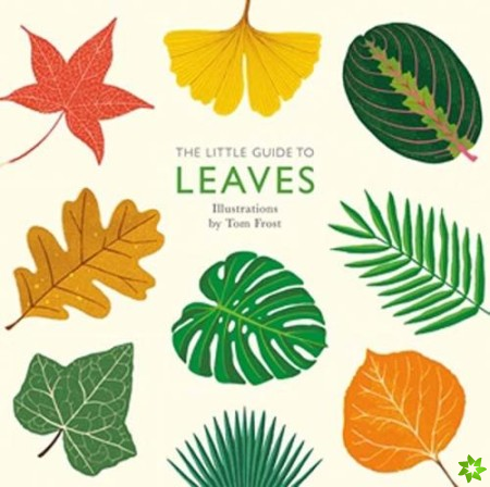 Little Guide to Leaves