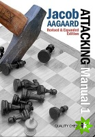 Attacking Manual: Basic Principles: v. 1