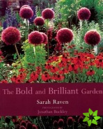 Bold and Brilliant Garden