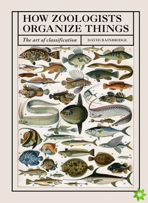 How Zoologists Organize Things