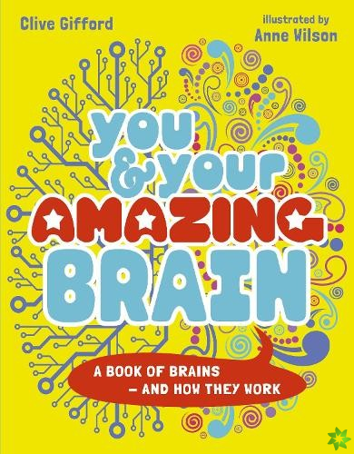 You & Your Amazing Brain