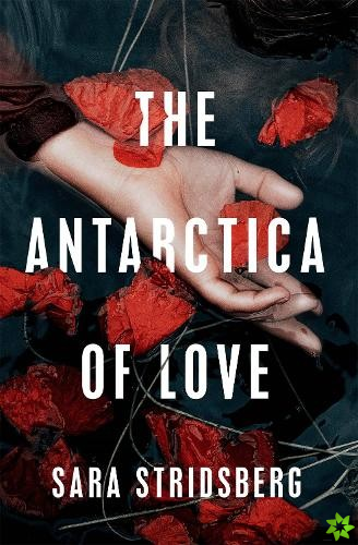 Antarctica of Love
