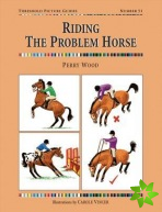 Riding the Problem Horse