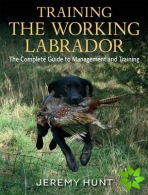 Training the Working Labrador