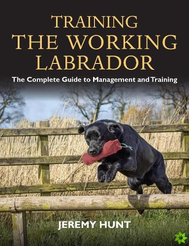 Training the Working Labrador
