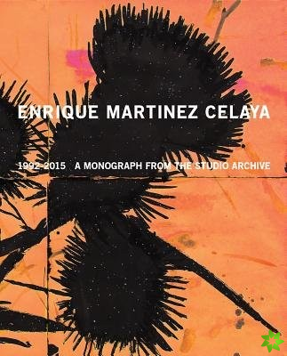 Enrique Martinez Celaya: 19902015
