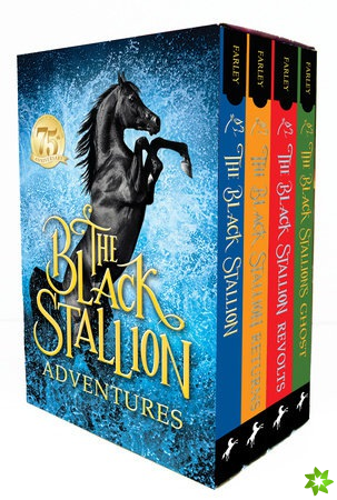 Black Stallion Adventures