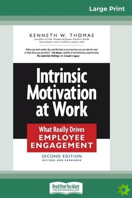 Intrinsic Motivation at Work (16pt Large Print Edition)