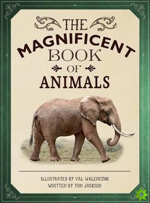 Magnificent Book of Animals