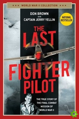 Last Fighter Pilot