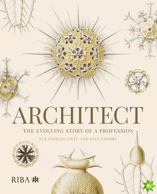 Architect: The evolving story of a profession