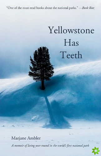 Yellowstone Has Teeth