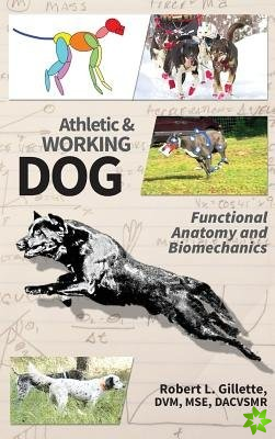 Athletic and Working Dog