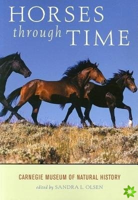 Horses through Time