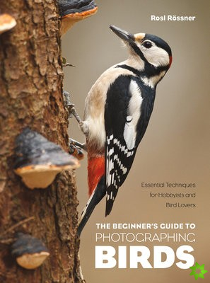 Beginner's Guide to Photographing Birds