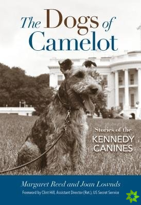 Dogs of Camelot