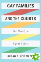 Gay Families and the Courts