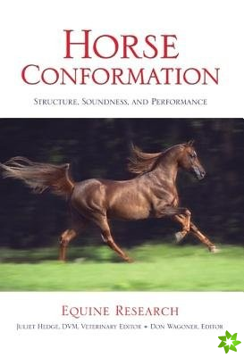 Horse Conformation