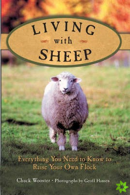 Living with Sheep
