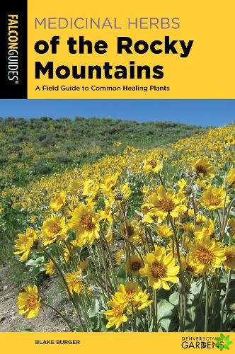 Medicinal Herbs of the Rocky Mountains