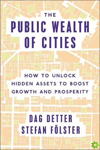 Public Wealth of Cities