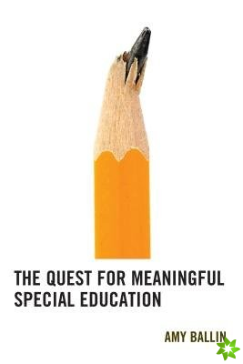 Quest for Meaningful Special Education