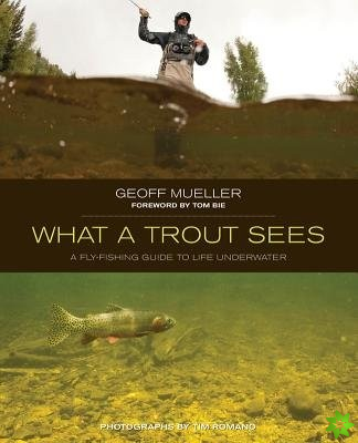 What a Trout Sees