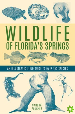 Wildlife of Florida's Springs