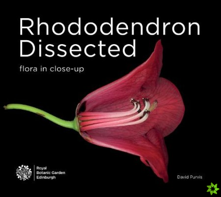 Rhododendron Dissected