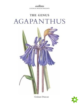 Genus Agapanthus