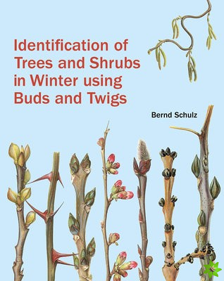 Identification of Trees and Shrubs in Winter Using Buds and Twigs