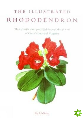 Illustrated Rhododendron, The