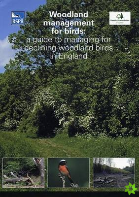 Woodland Management for Birds