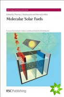 Molecular Solar Fuels