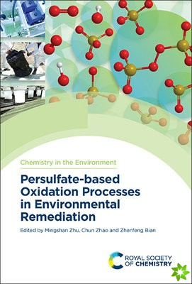 Persulfate-based Oxidation Processes in Environmental Remediation