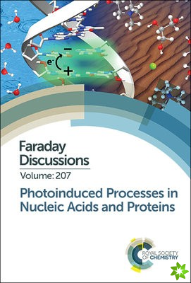 Photoinduced Processes in Nucleic Acids and Proteins