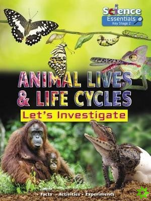Animal Lives and Life Cycles