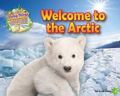 Welcome to the Arctic