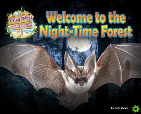 Welcome to the Night-Time Forest