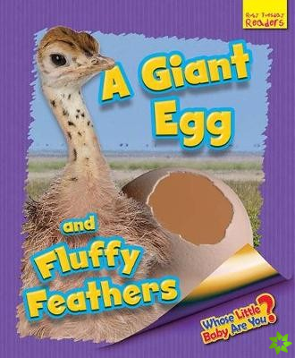 Whose Little Baby Are You? A Giant Egg and Fluffy Feathers