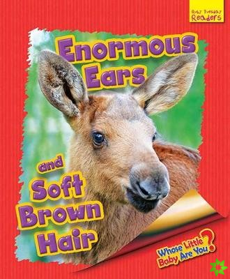 Whose Little Baby Are You? Enormous Ears and Soft Brown Hair