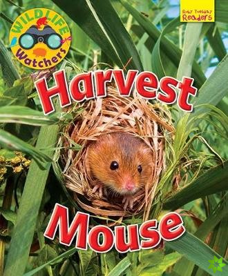 Wildlife Watchers: Harvest Mouse